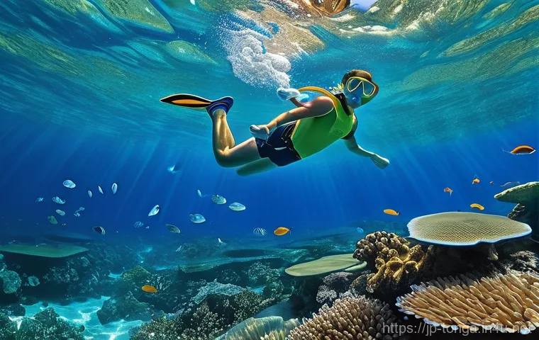 통가 기후 및 날씨 - **Prompt 1: Tranquil Dry Season Snorkeling in Tonga**
    "A person, depicted from a slightly elevat...