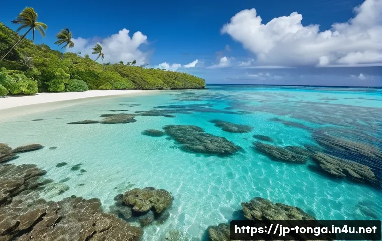 통가에서 할 수 있는 로컬 투어 프로그램 관련 이미지 1