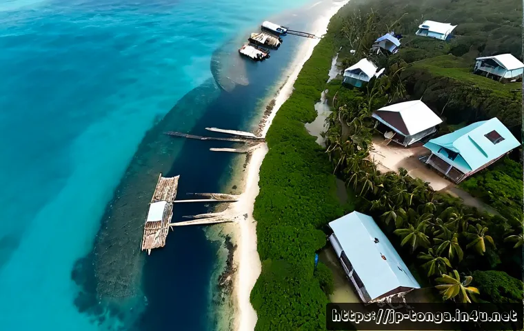 통가 쓰나미 피해 사례 - Photorealistic aerial view of tsunami damage on a tropical island coastline in Tonga, small coastal ...